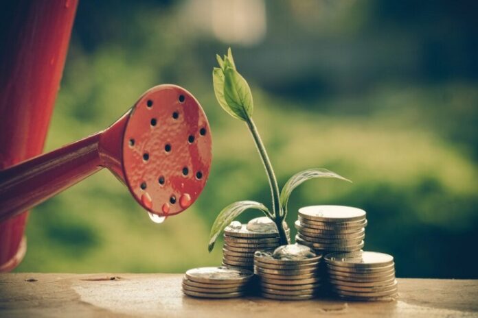 Financial Wellness